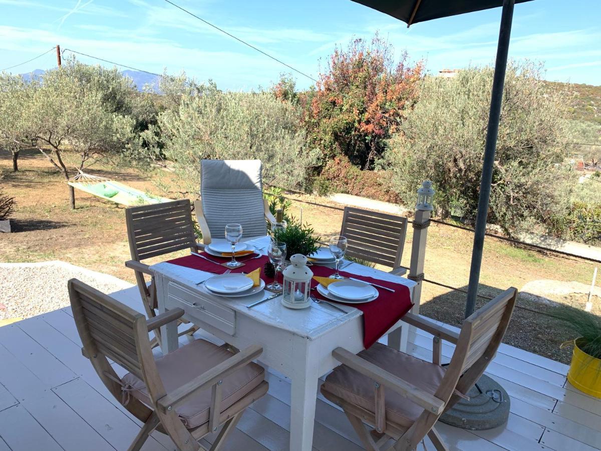 Holiday home Olive Hill Private House *