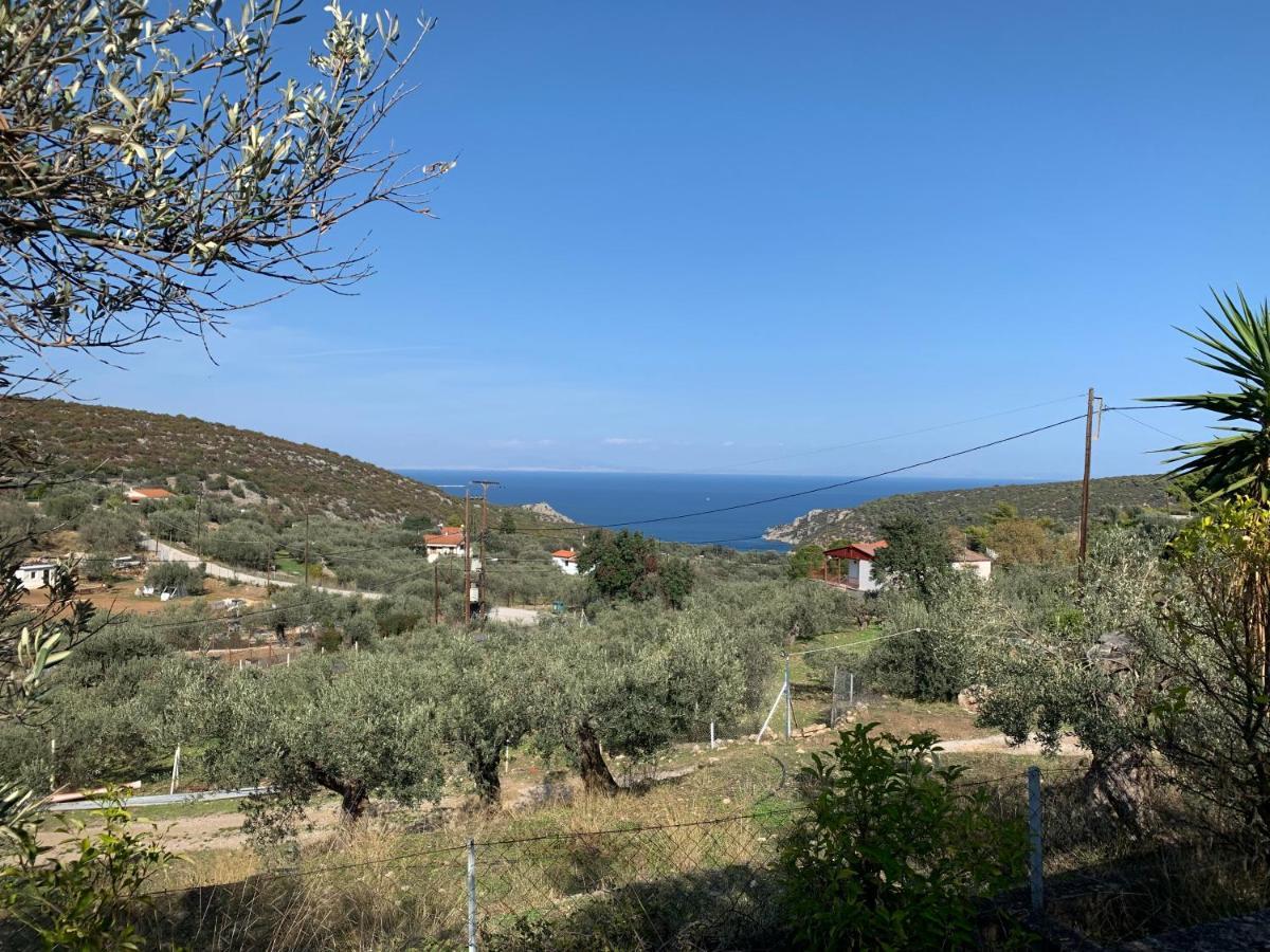 Olive Hill Private House Holiday home Poros Town