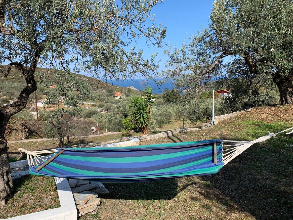 Holiday home Olive Hill Private House *