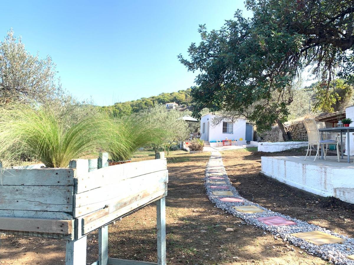 Olive Hill Private House *