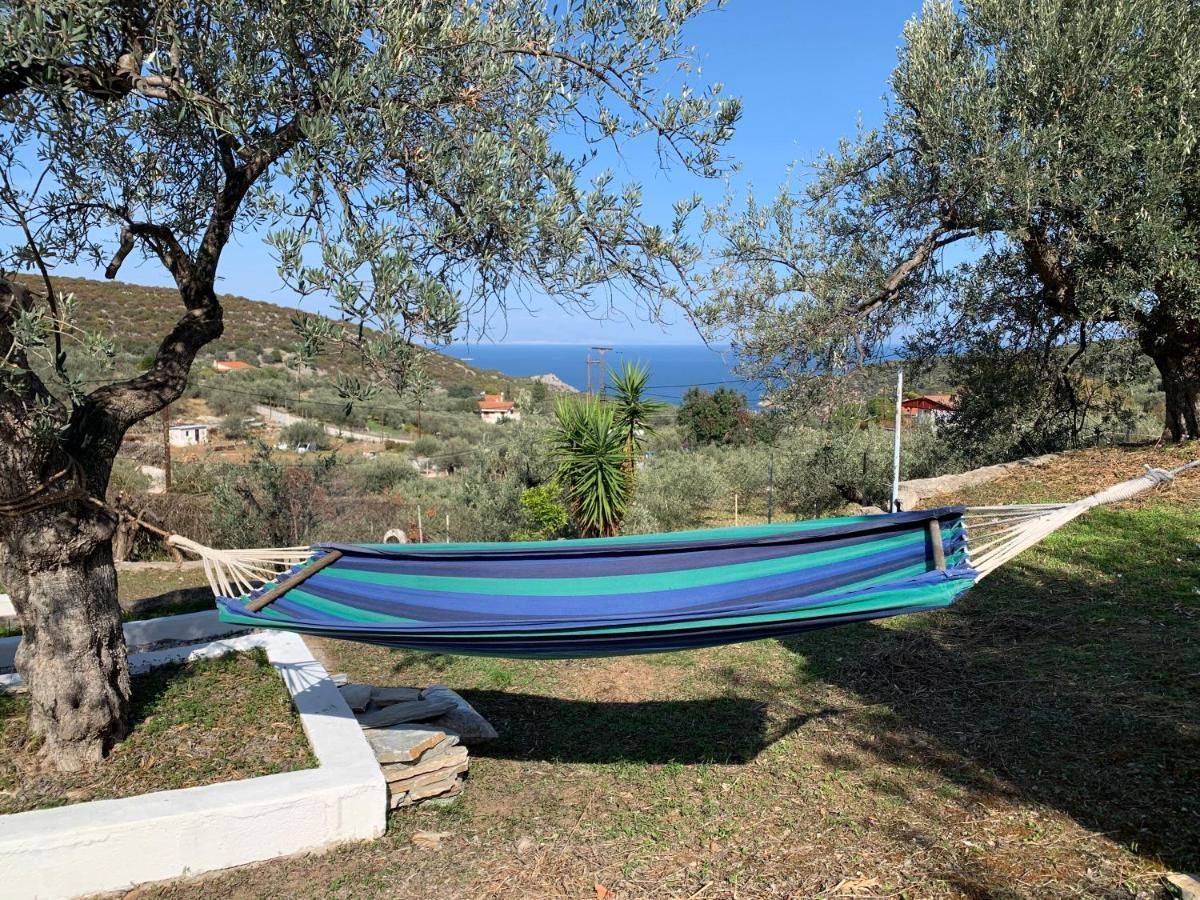 Olive Hill Private House Poros Town
