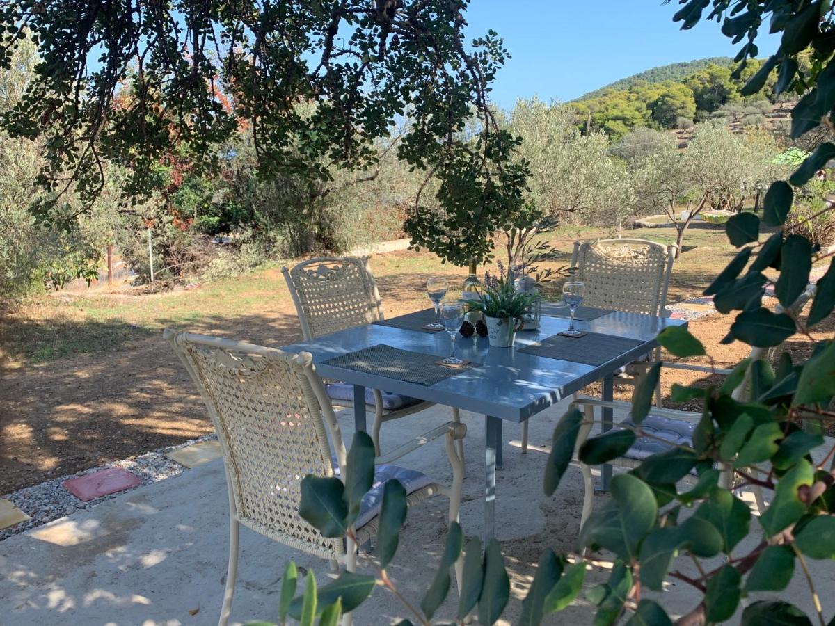 Olive Hill Private House Holiday home *