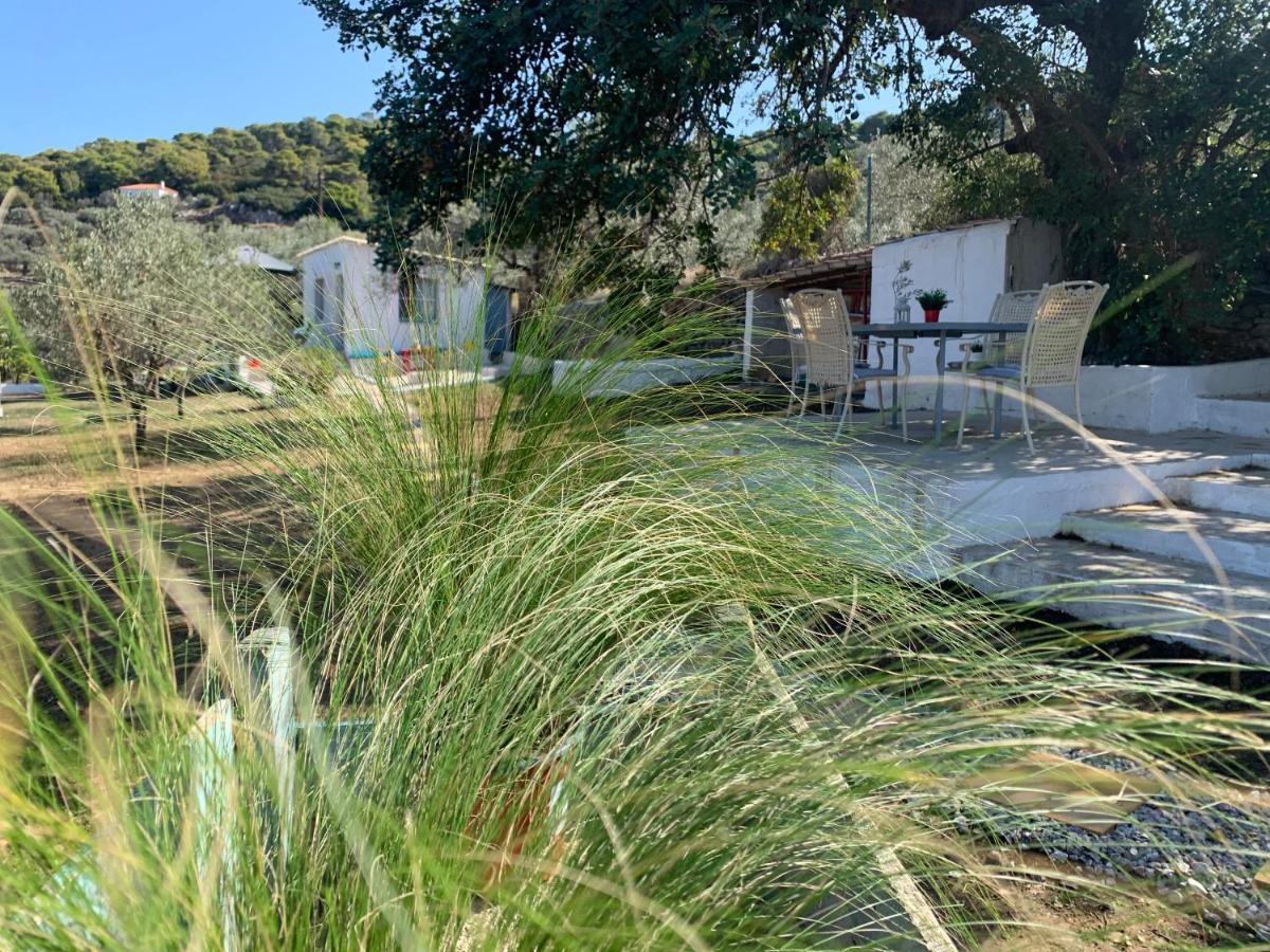 Olive Hill Private House Poros Town