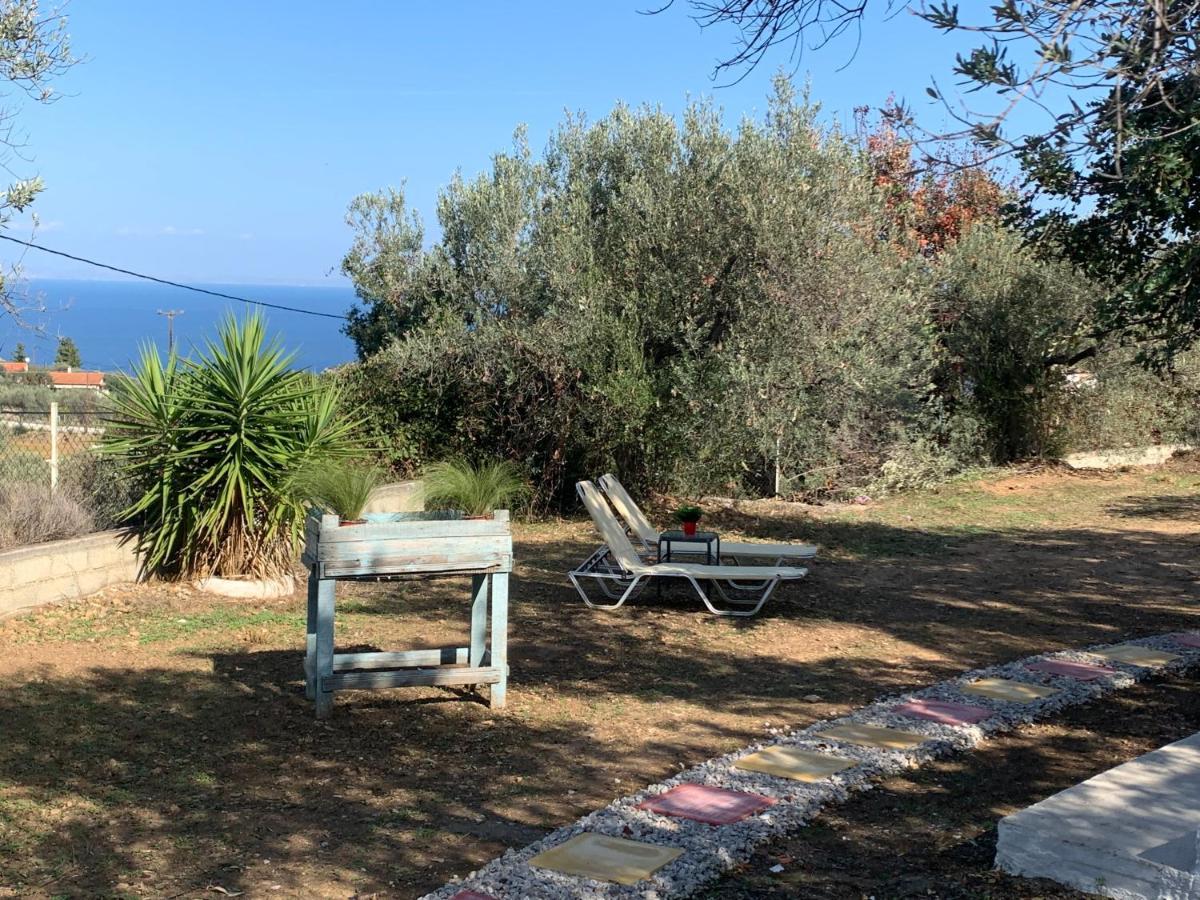 Olive Hill Private House * Poros Town