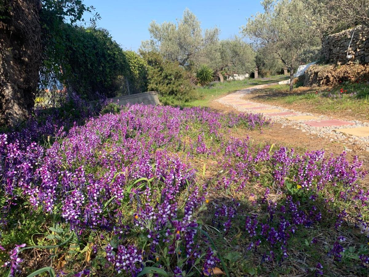 Olive Hill Private House Poros Town