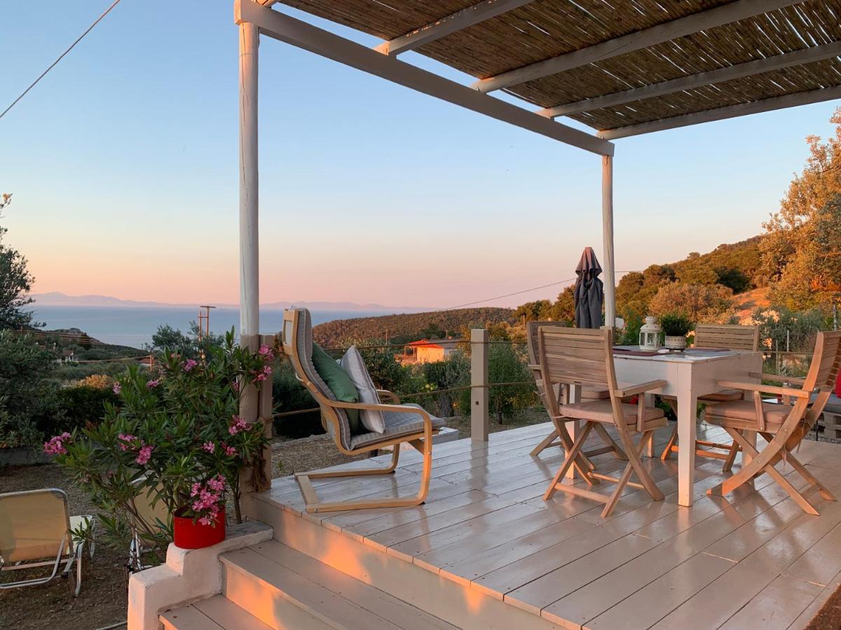 Holiday home Olive Hill Private House