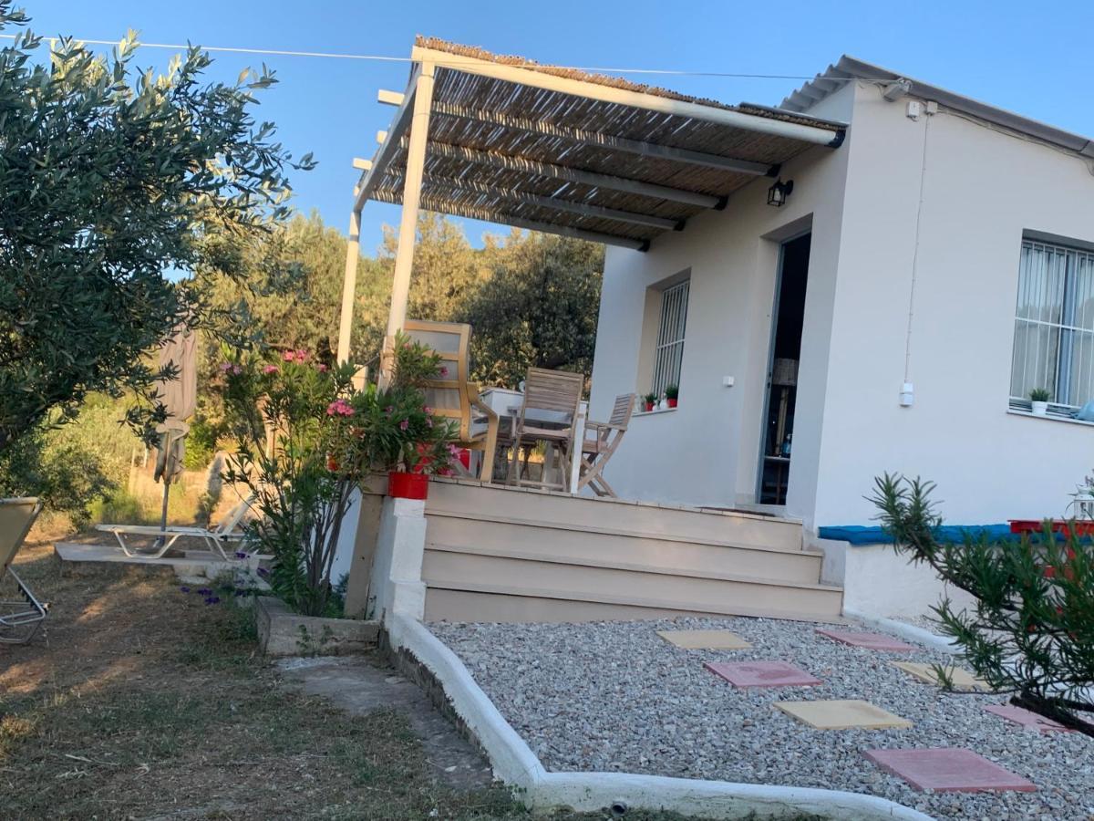Olive Hill Private House *