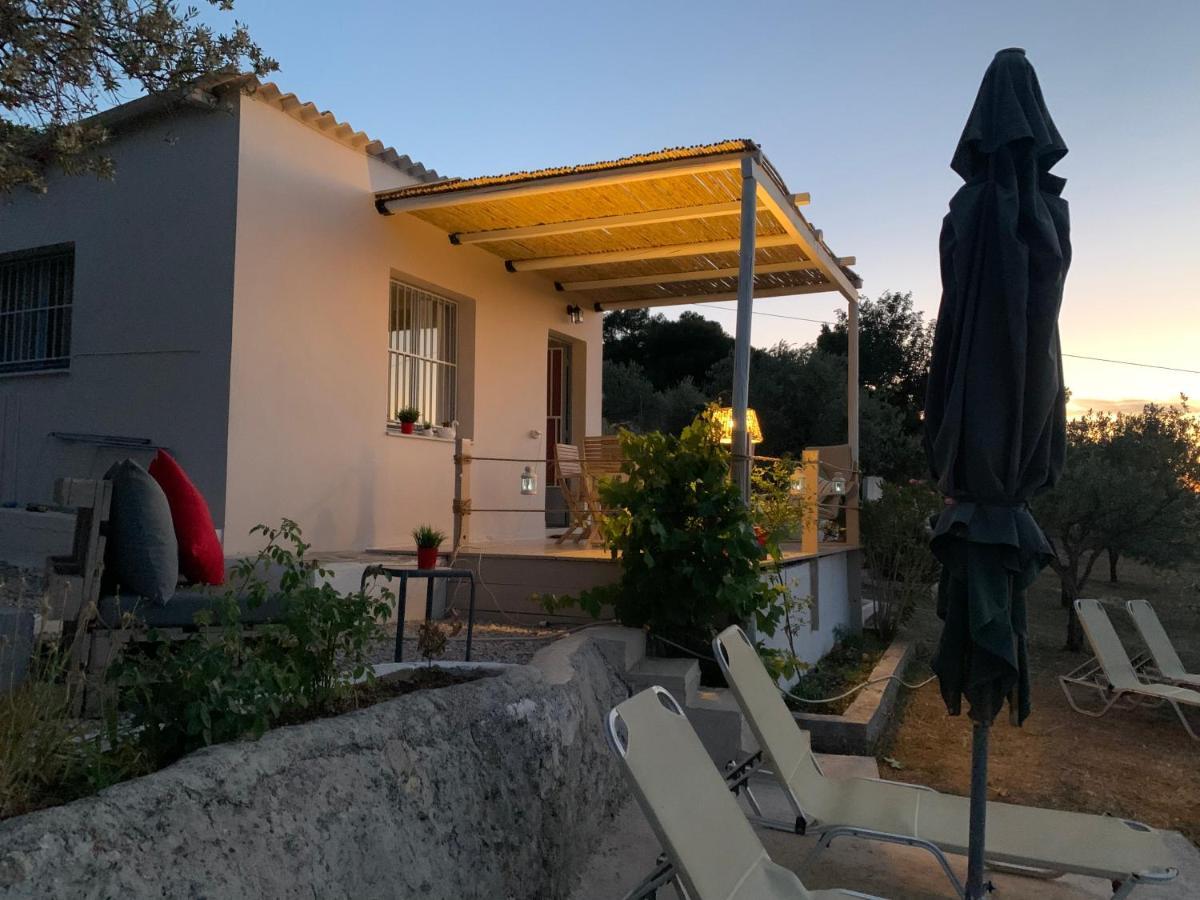 Olive Hill Private House Hébergement de vacances Poros Town