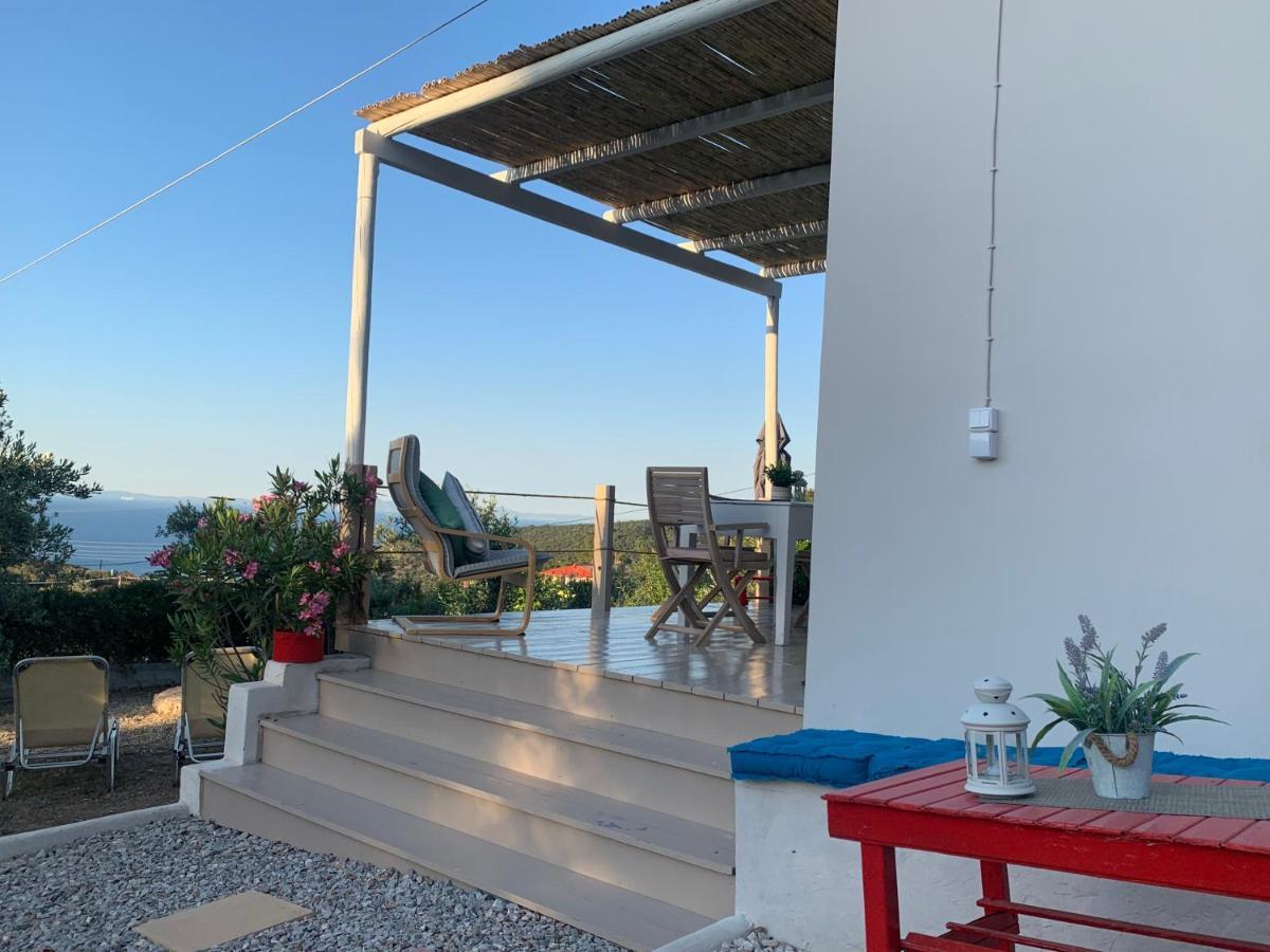 Holiday home Olive Hill Private House