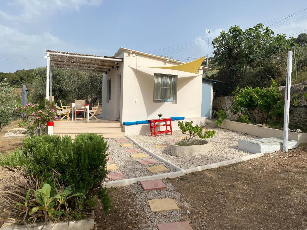 Olive Hill Private House Holiday home *